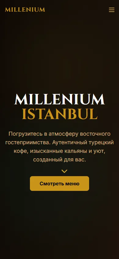 Site-ul Millenium Istanbul pe telefon